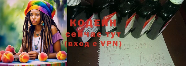 ПСИЛОЦИБИНОВЫЕ ГРИБЫ Арсеньев