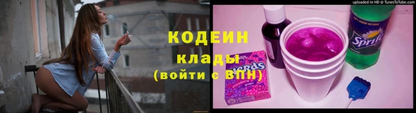 ПСИЛОЦИБИНОВЫЕ ГРИБЫ Арсеньев