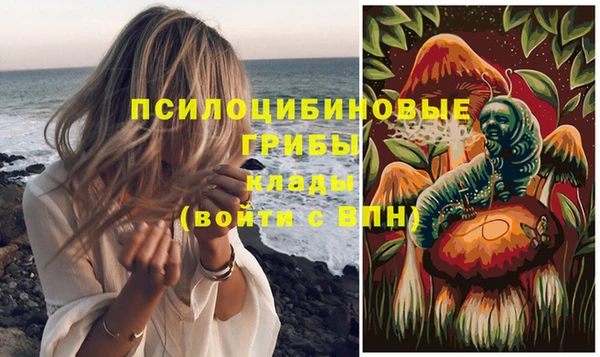 мяу мяу мука Армянск