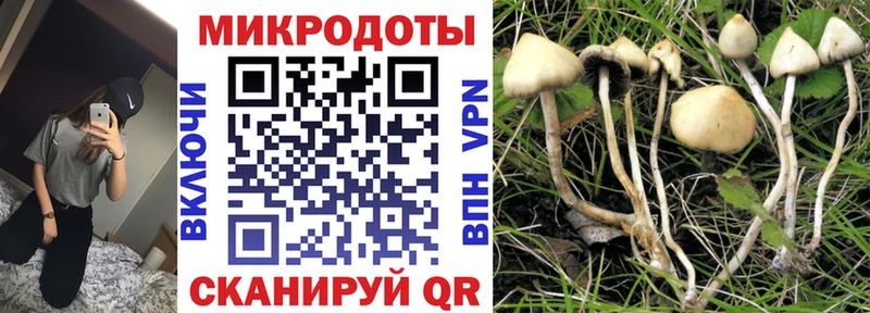 blacksprut вход купить цена Бабаево Псилоцибиновые грибы Psilocybine cubensis